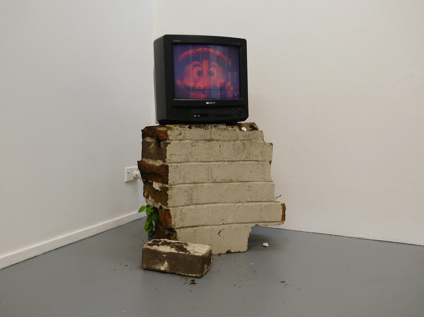 Half-Forgotten